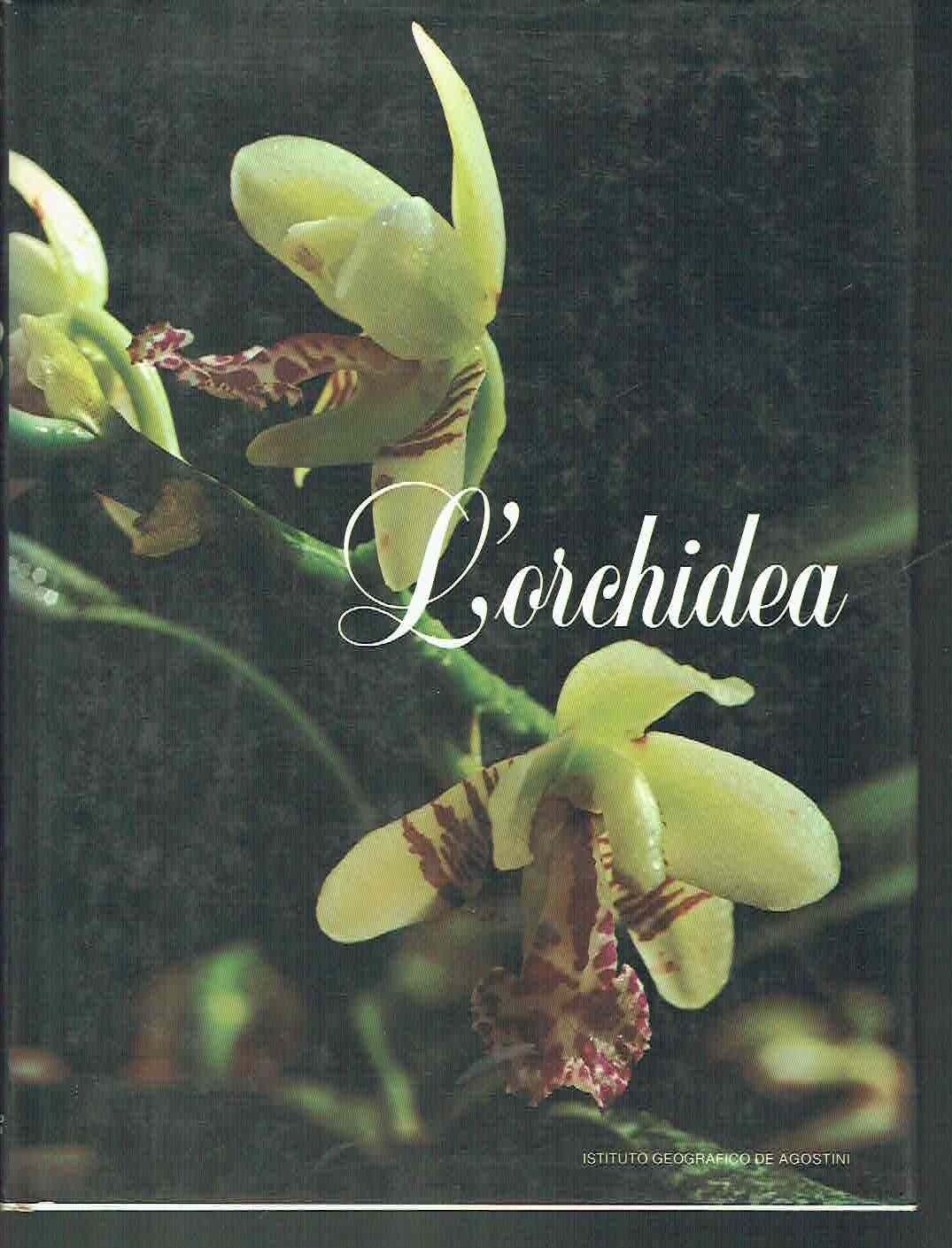 L'ORCHIDEA