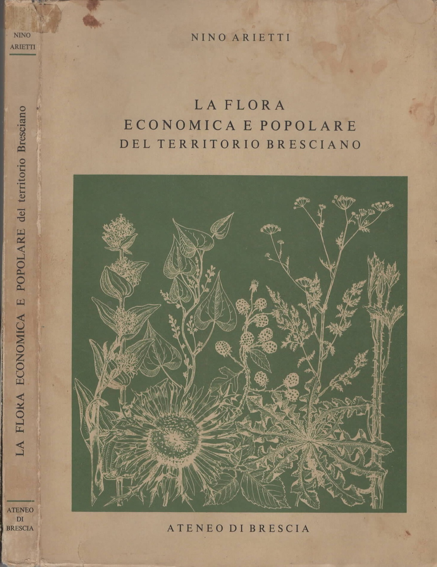 La Flora Economica E Popolare Del Territorio Bresciano di Nino …