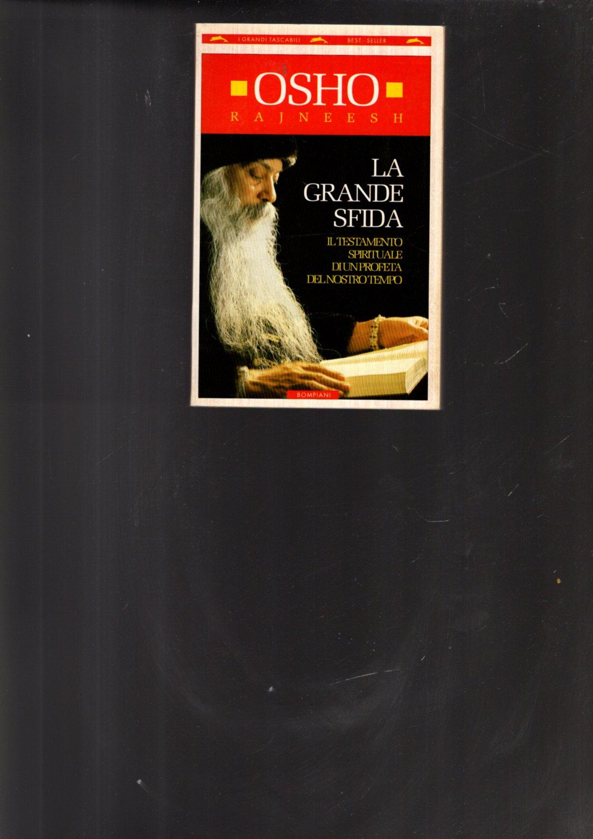 LA GRANDE SFIDA IL TESTAMENTO SPIRITUALE DI UN PROFETA DEL …