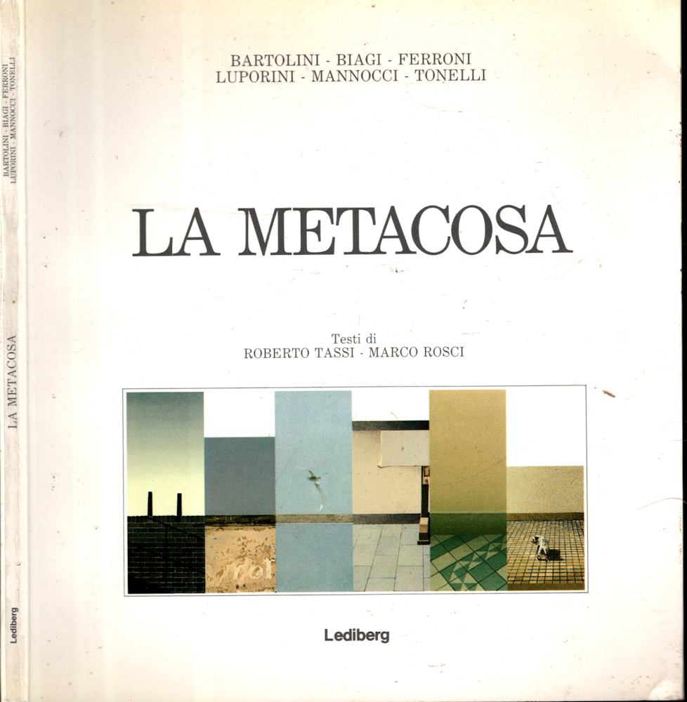 LA METACOSA