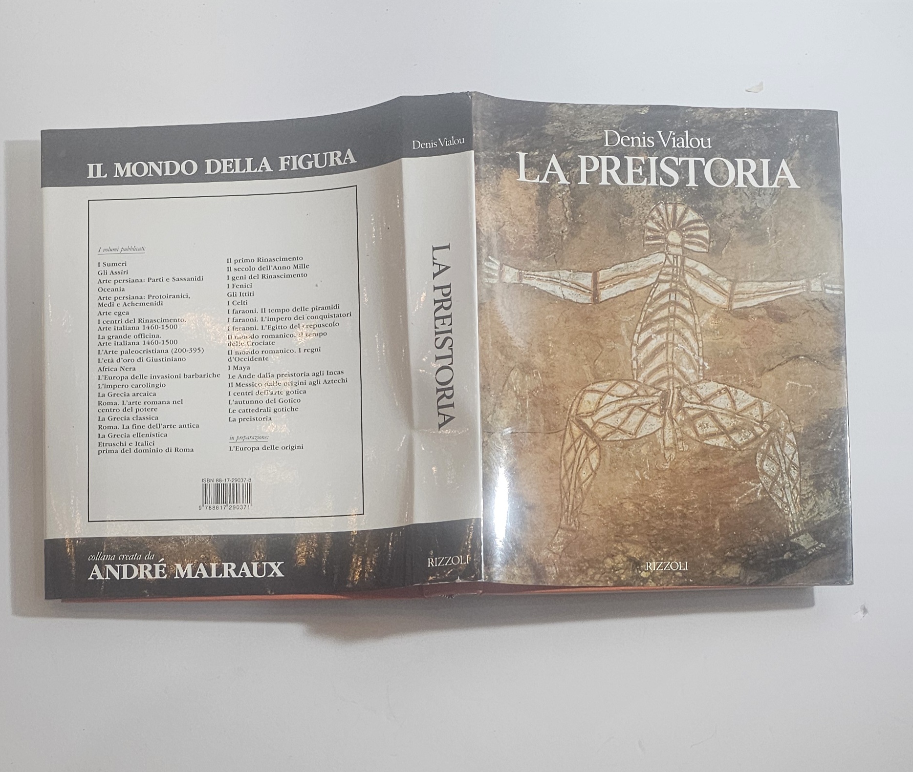 La preistoria Denis Vialou libro illustrato arte rupestre storia antica
