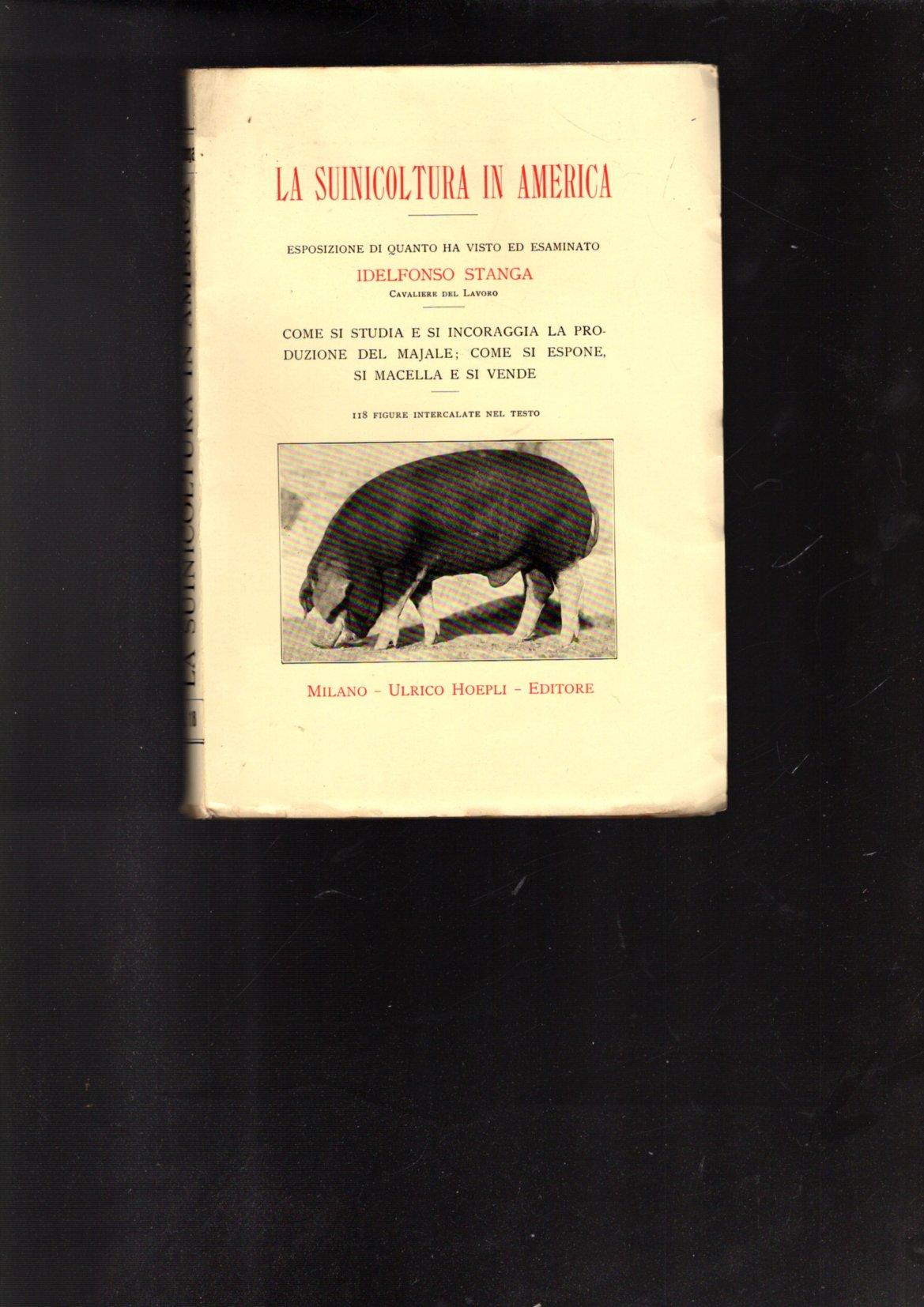 LA SUINICOLTURA IN AMERICA