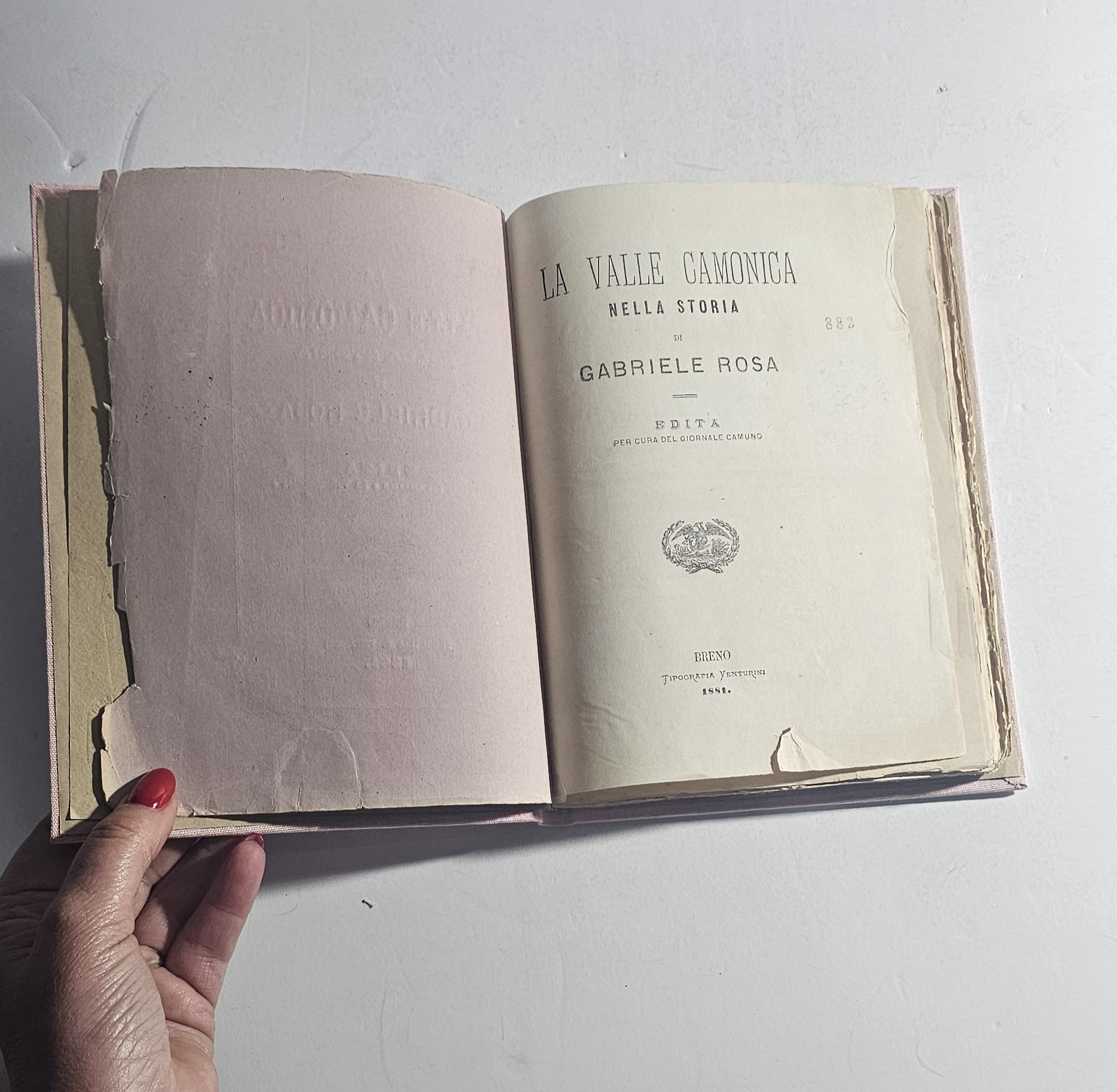 La Valle Camonica nella Storia – Gabriele Rosa (1881) | …
