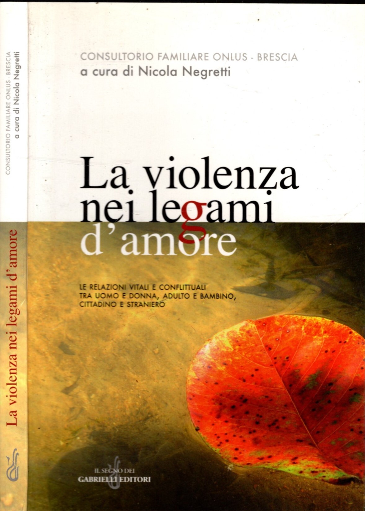 La violenza nei legami d'amore. Le relazioni vitali e conflittuali …