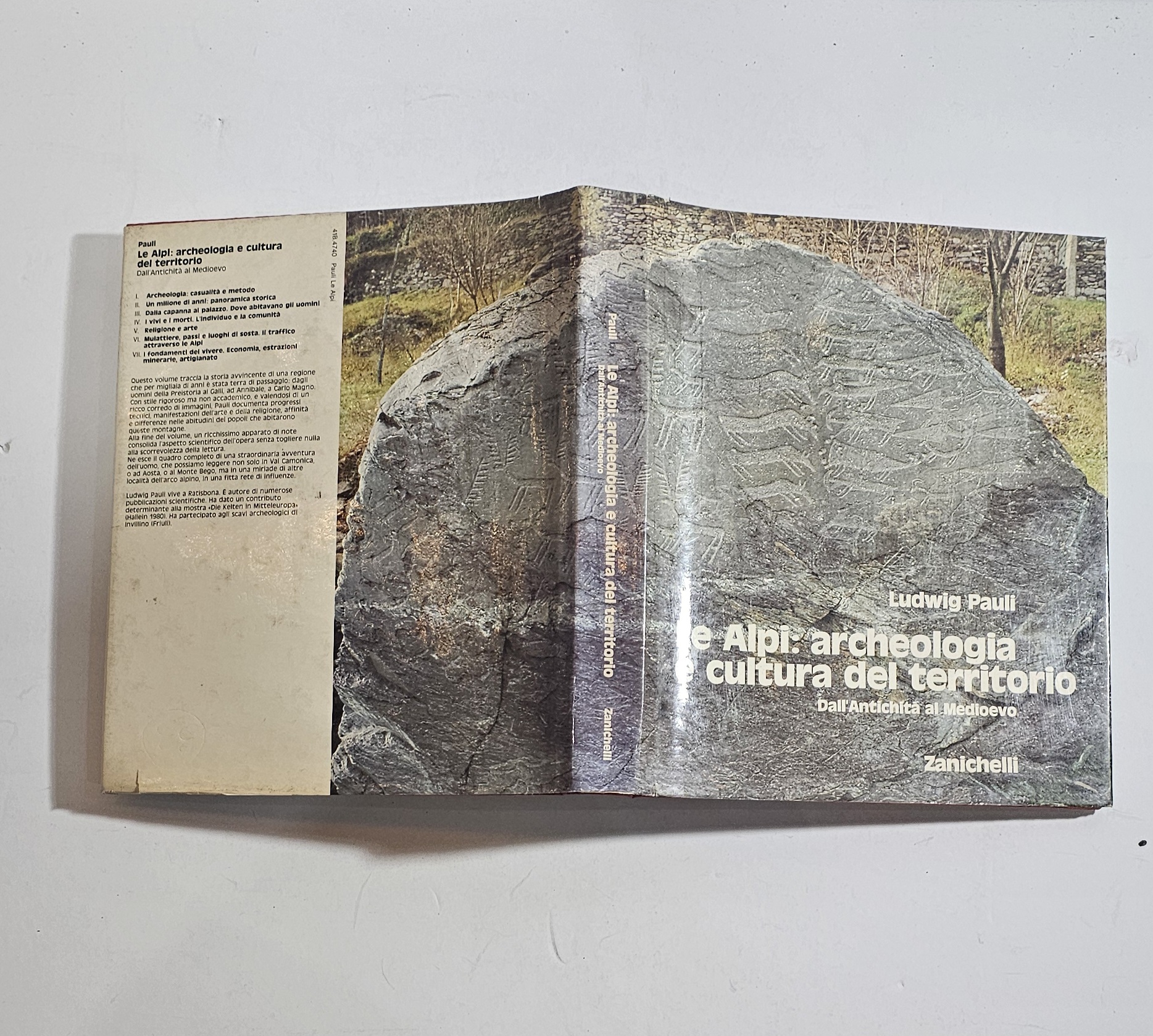 Le Alpi Archeologia e Cultura del Territorio Pauli Zanichelli