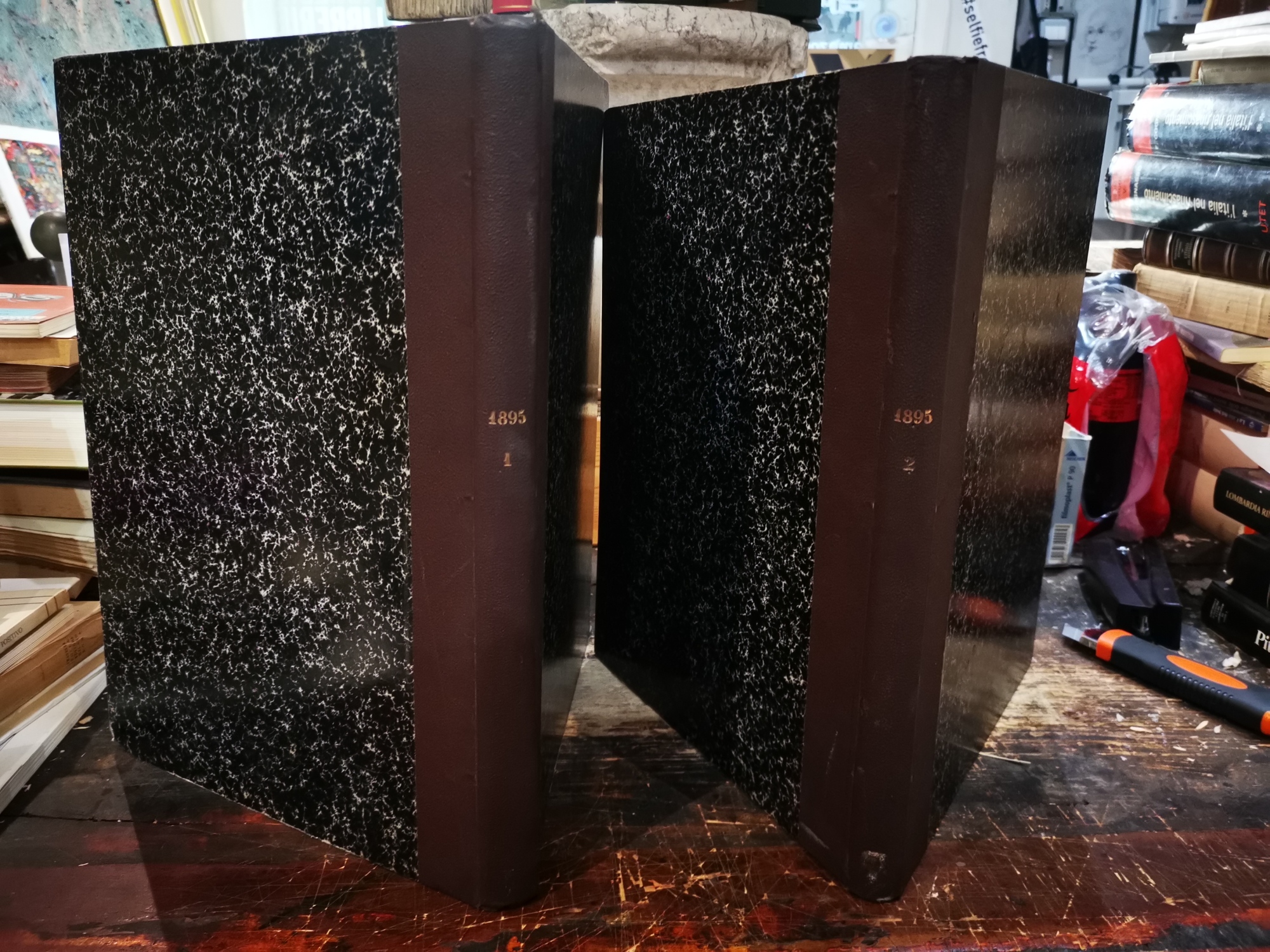 LE MONDE ILLUSTRE 1895 DUE VOLUMI