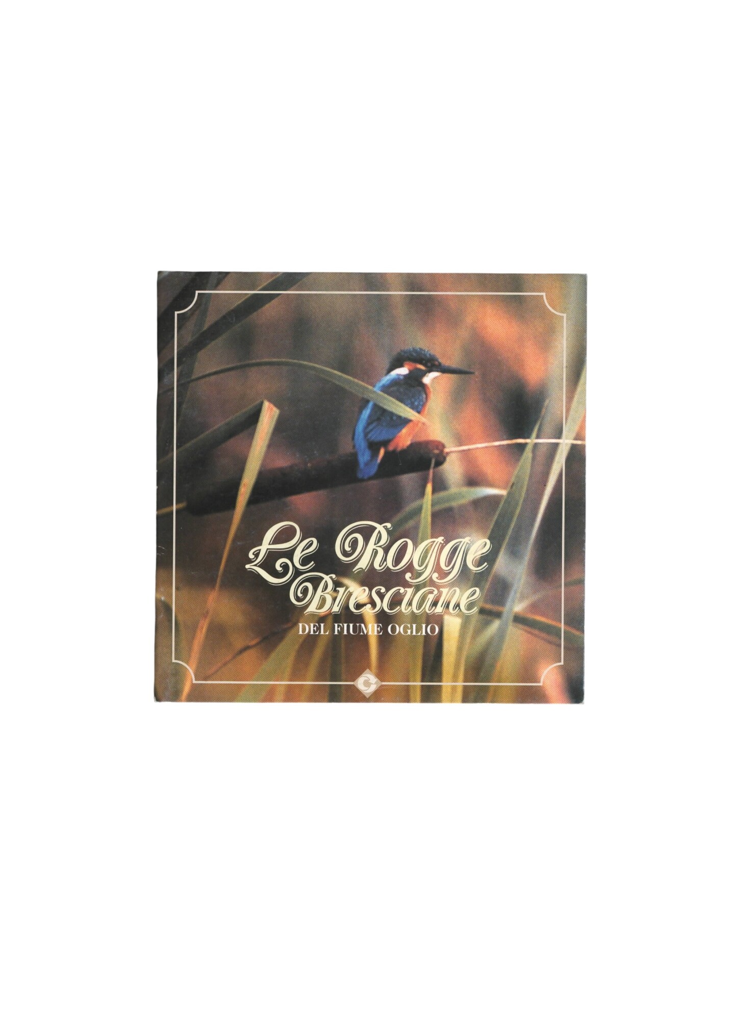 Le rogge bresciane del fiume Oglio