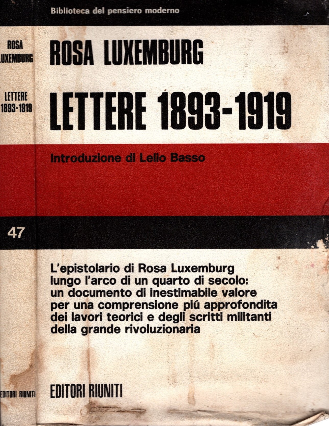 Lettere 1893-1919 - Rosa Luxemburg