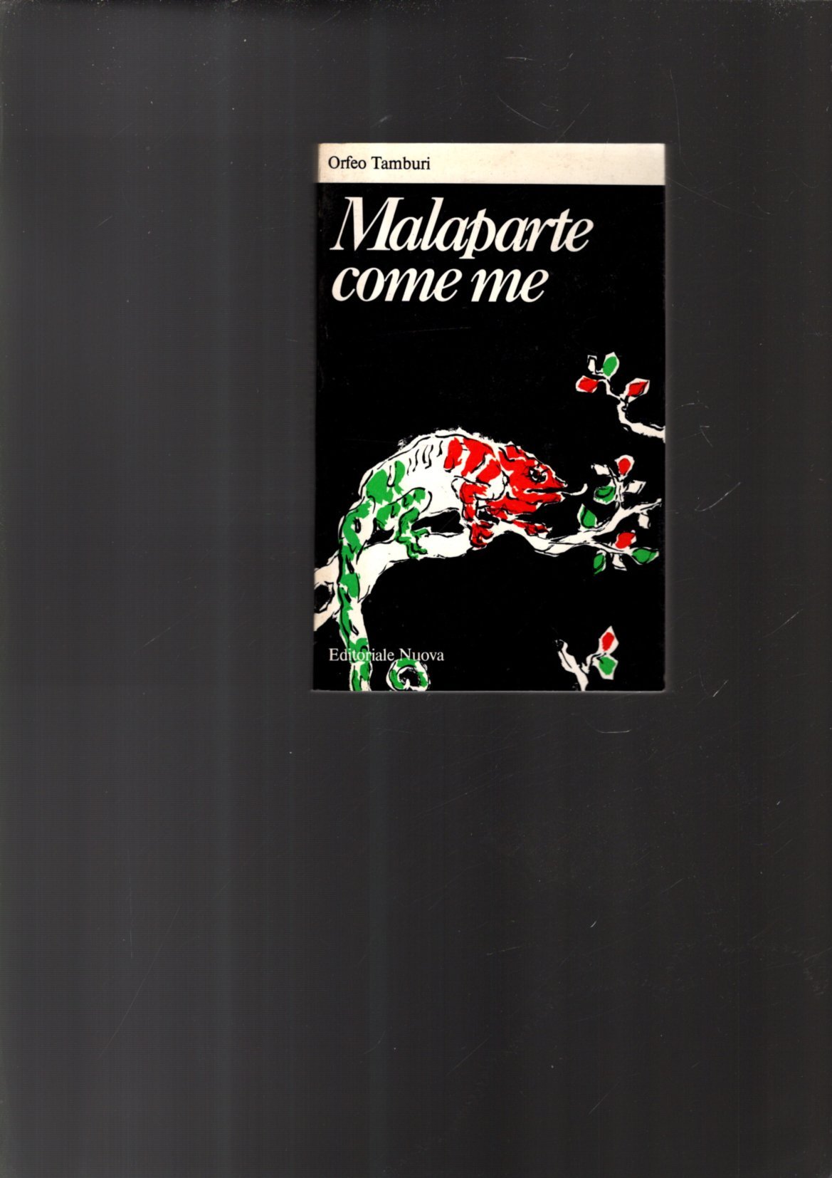 MALAPARTE COME ME