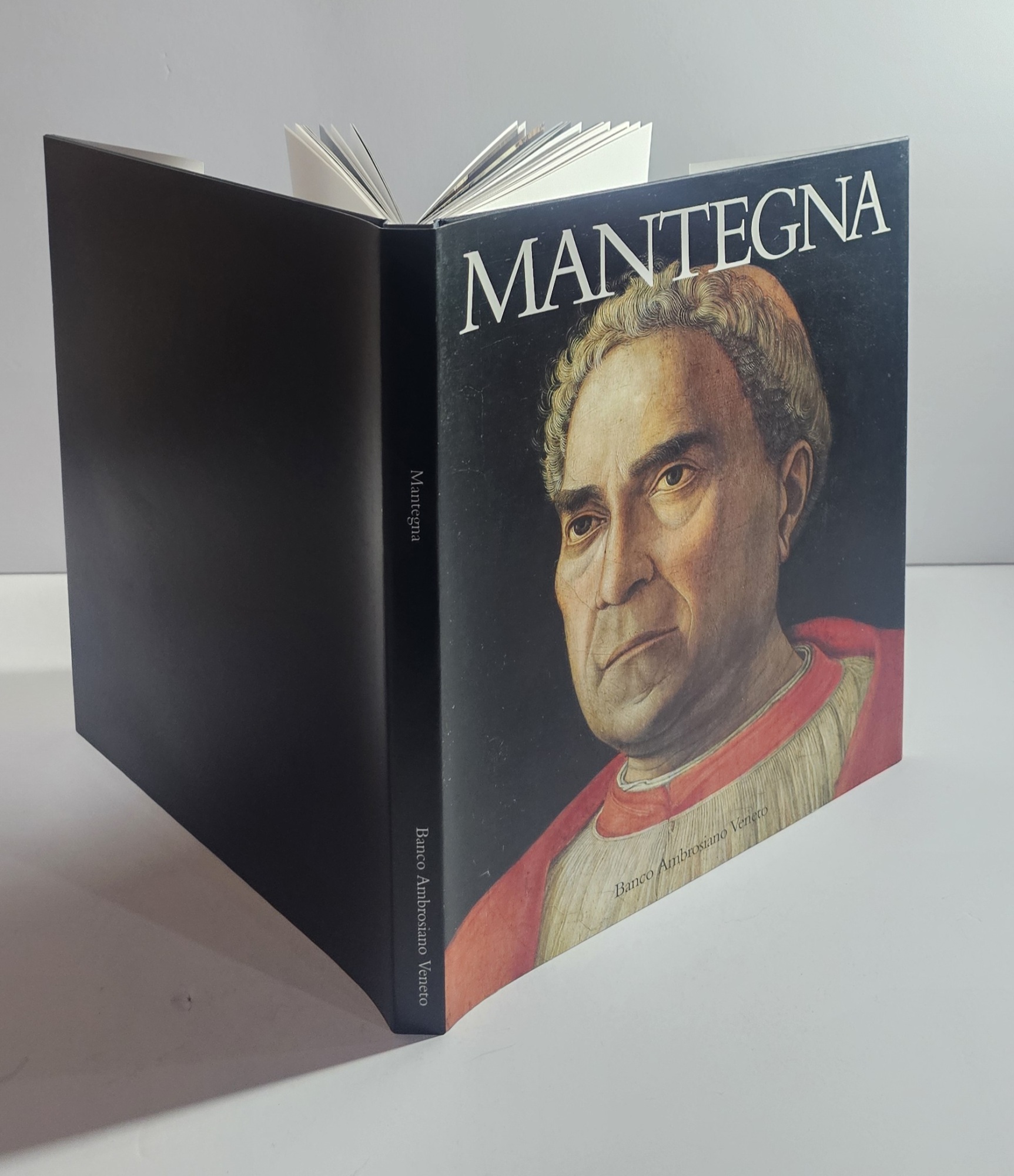 Mantegna libro arte banco Ambrosiano Veneto salmazo pittura rinascimentale catalogo …