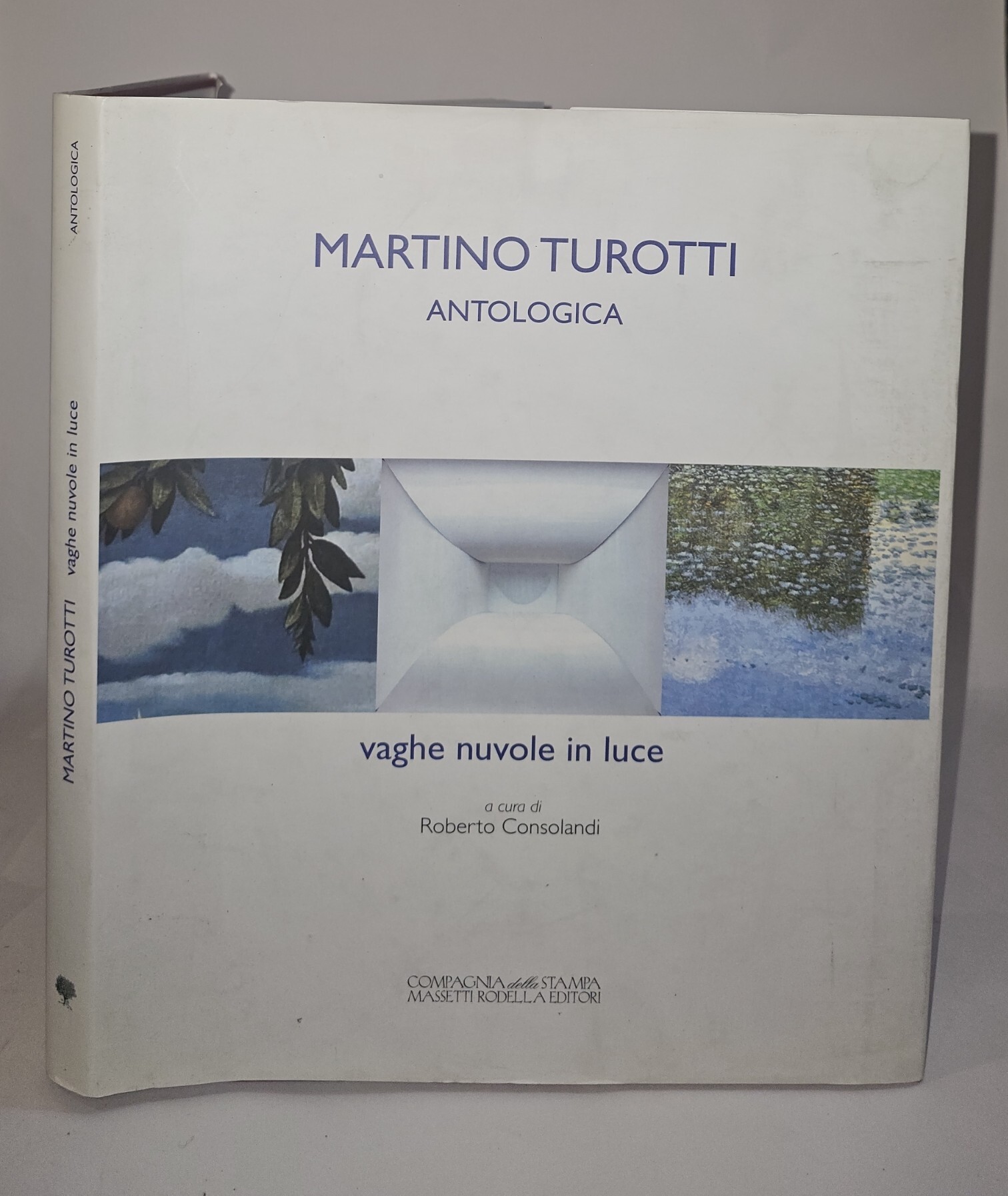 Martino Turotti : antologica : vaghe nuvole in luce