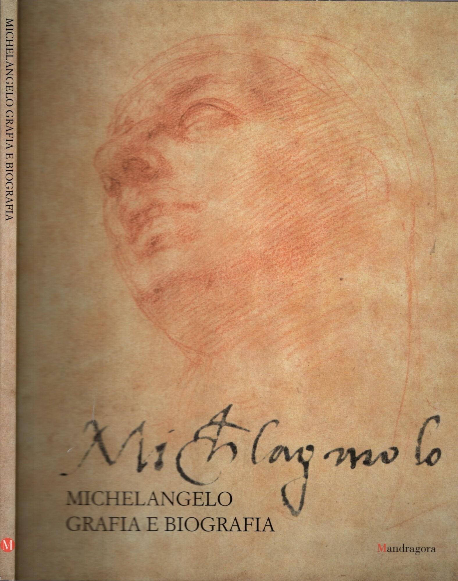 Michelangelo: grafia e biografia. Catalogo della mostra (Brescia, 7 aprile-3 …