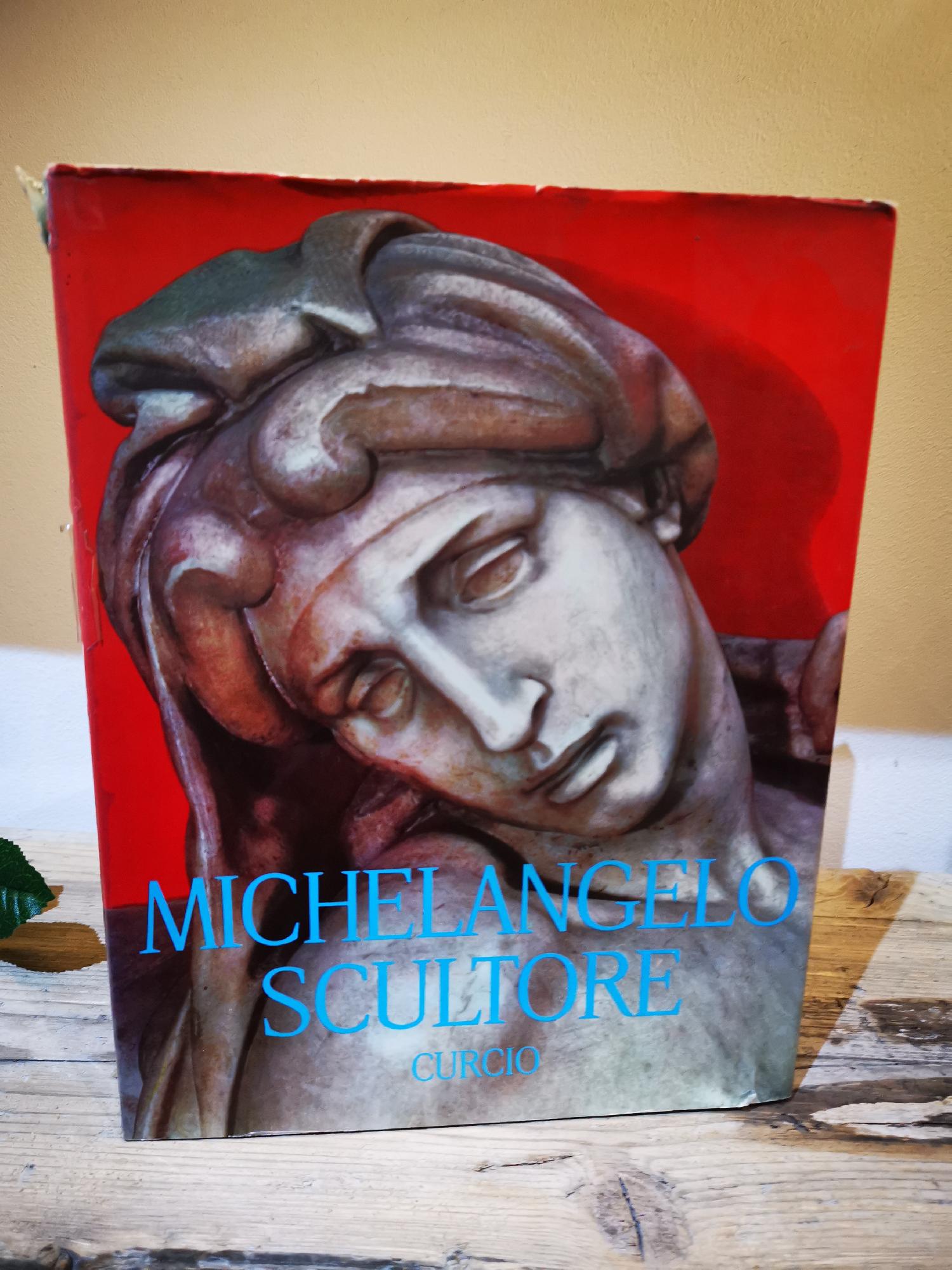 Michelangelo Scultore