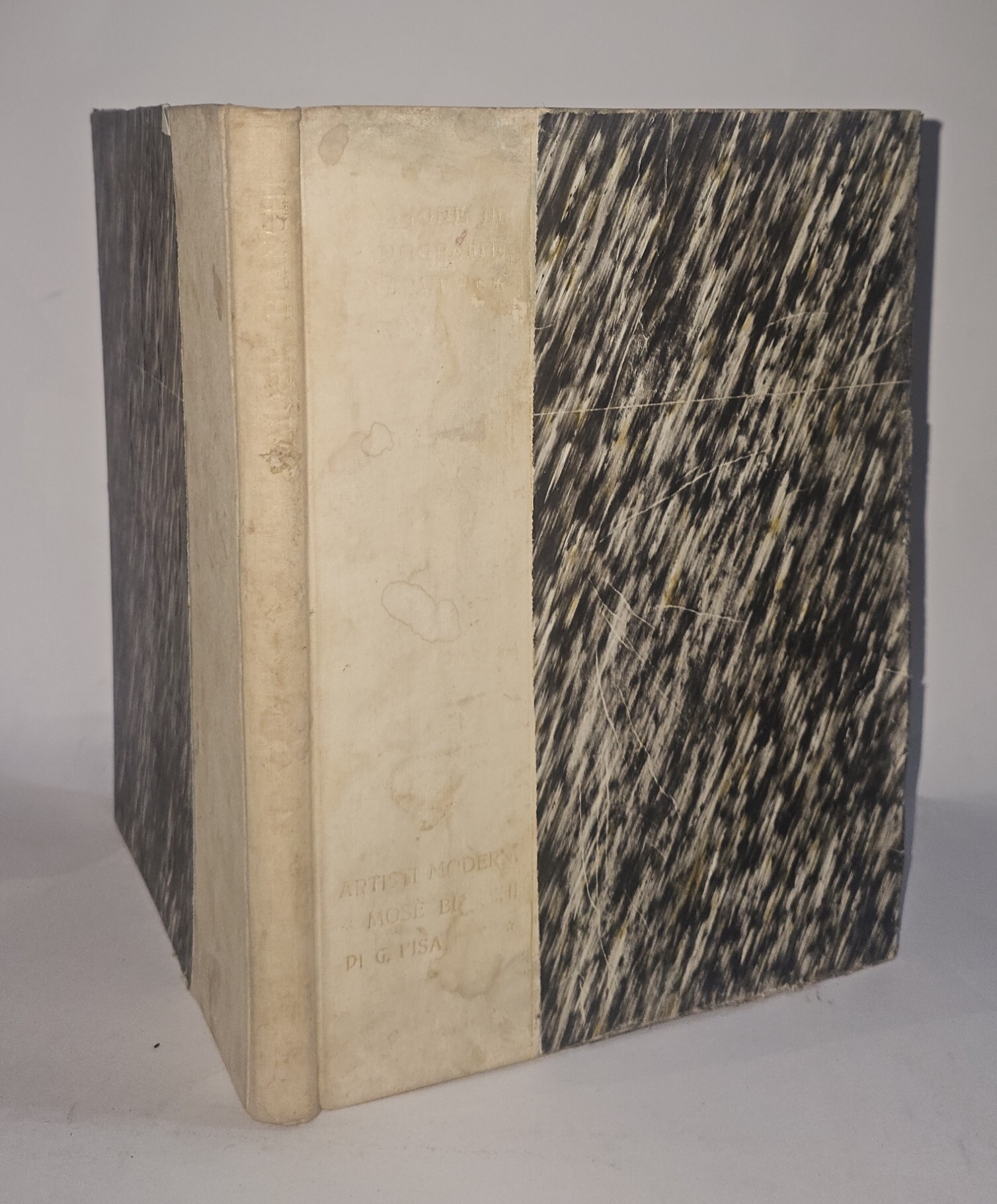 Mosè Bianchi di Giulio Pisa