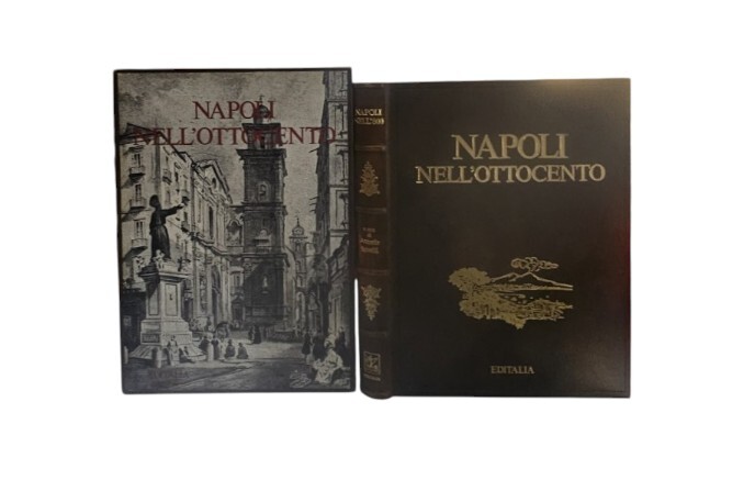 Napoli nell'ottocento a cura di Antonio Spinelli