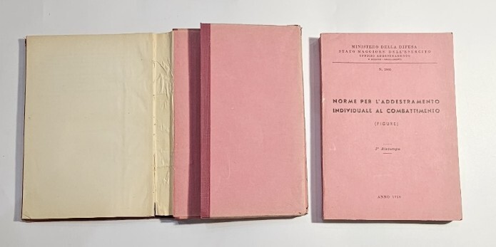 Norme per l'addestramento individuale al combattimento Testo con Tavole del …