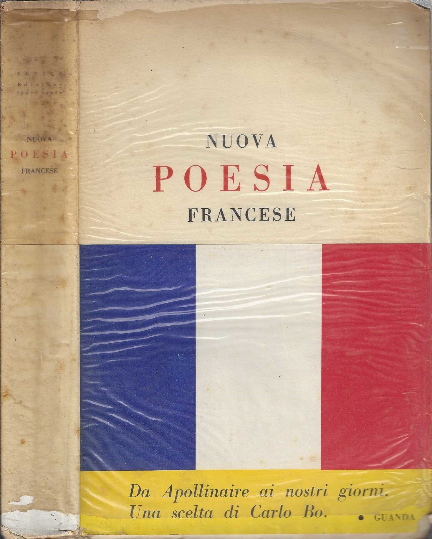 Nuova poesia francese da Apollinaire ai nostri giorni