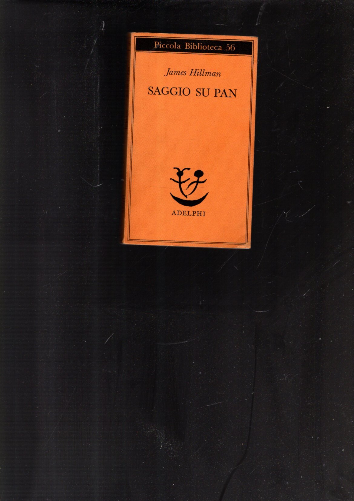 Saggio su Pan
