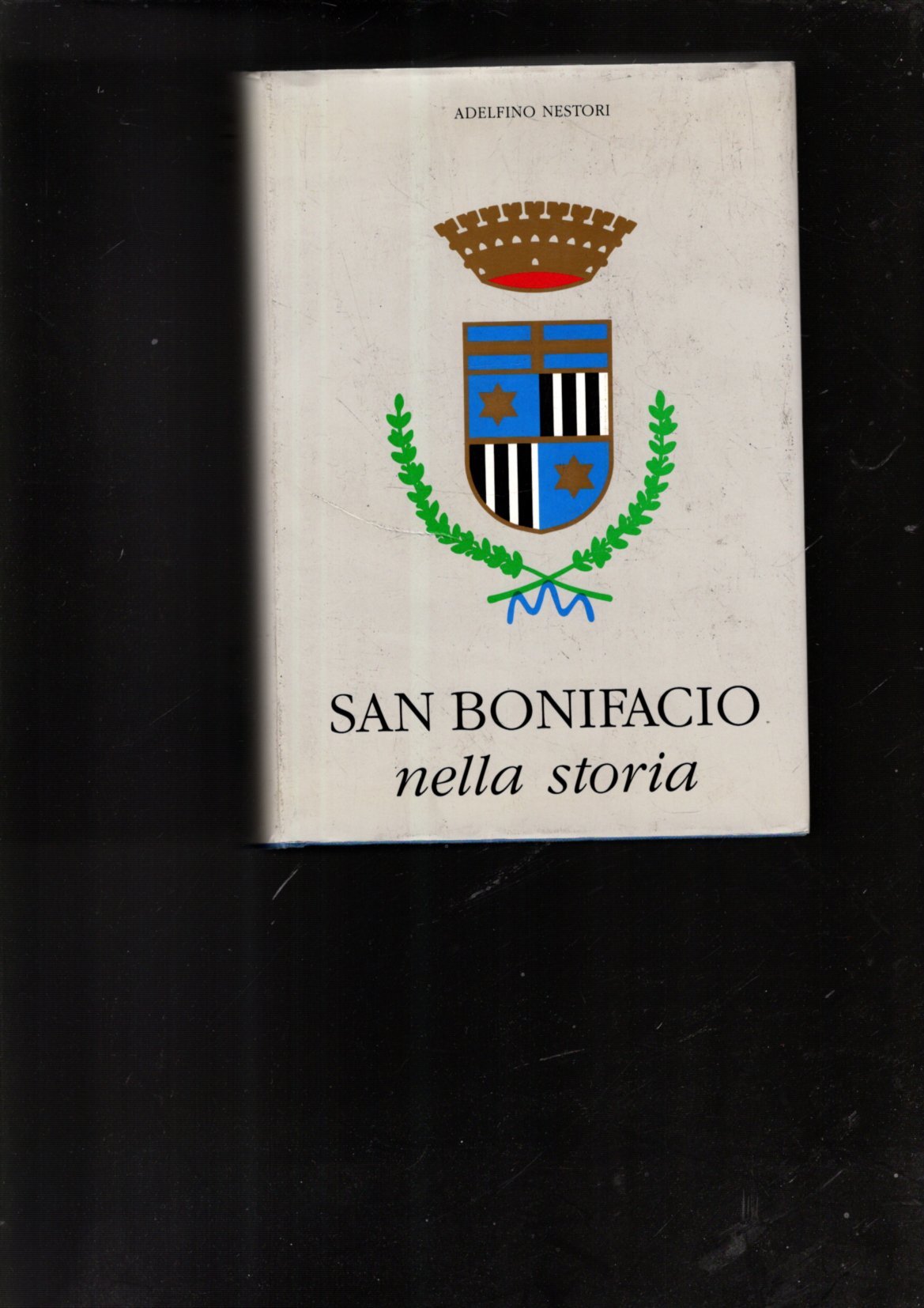 SAN BONIFACIO NELLA STORIA