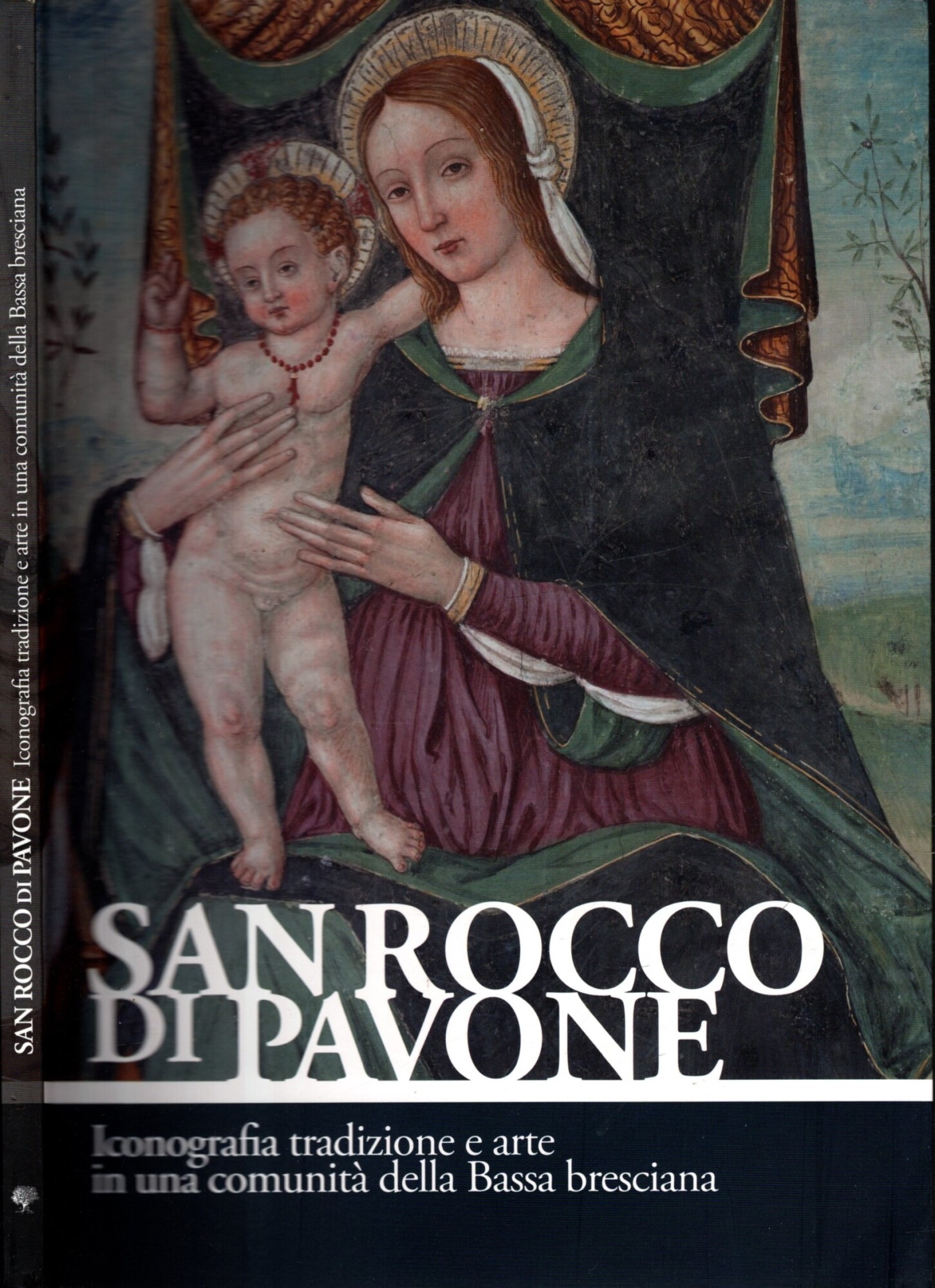 San Rocco di Pavone : iconografia, tradizione e arte in …