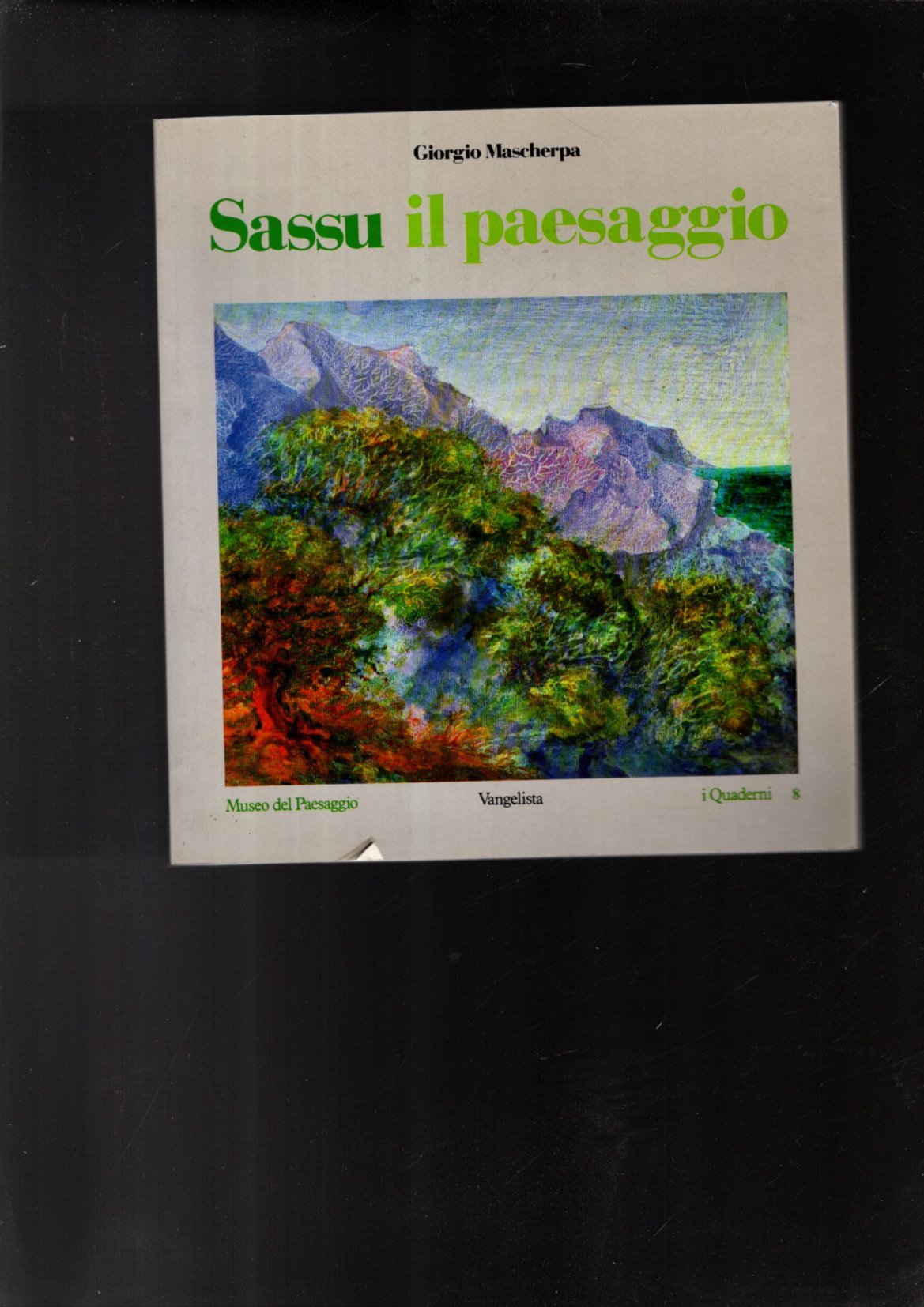 SASSU IL PAESAGGIO