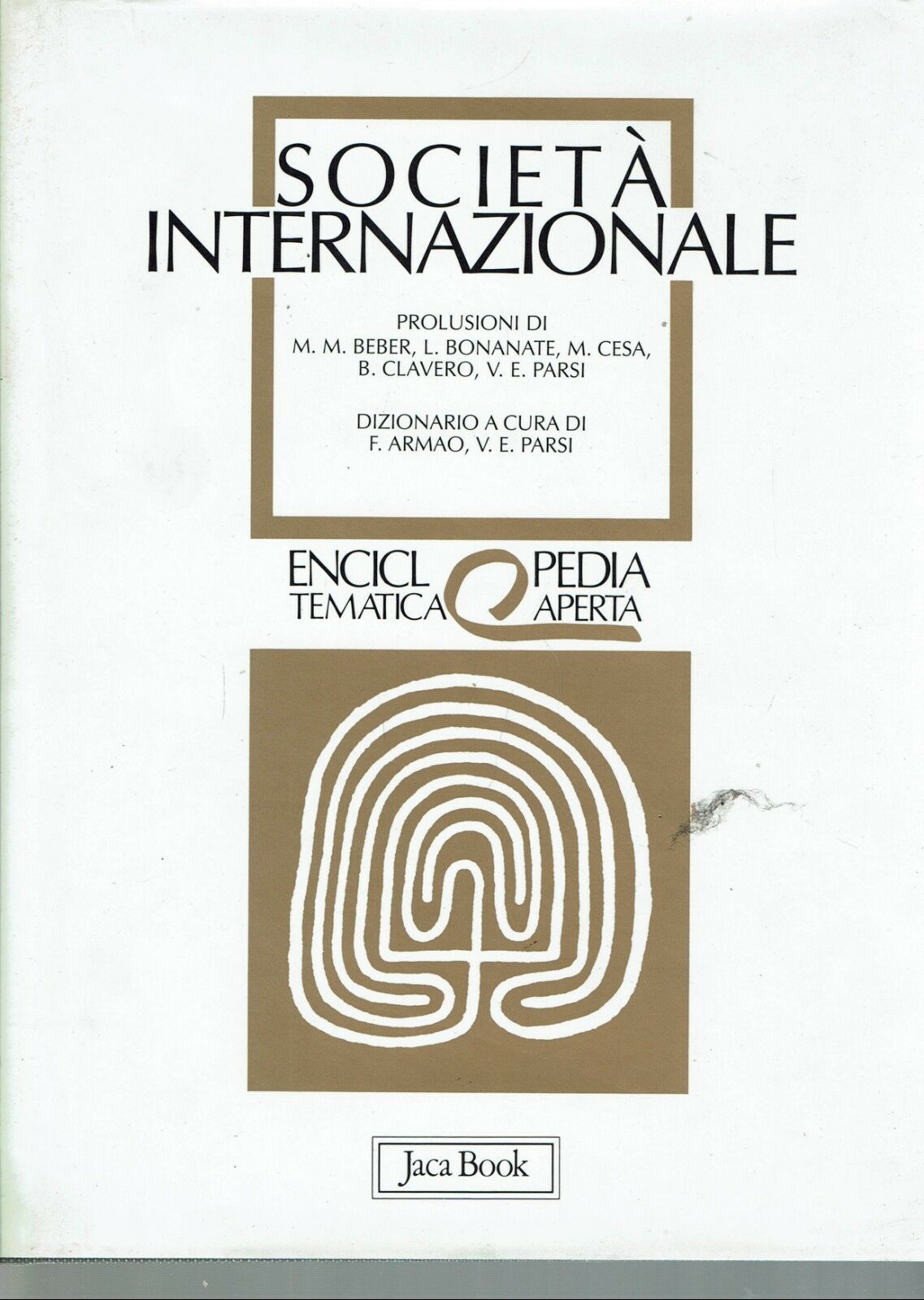 Società internazionale
