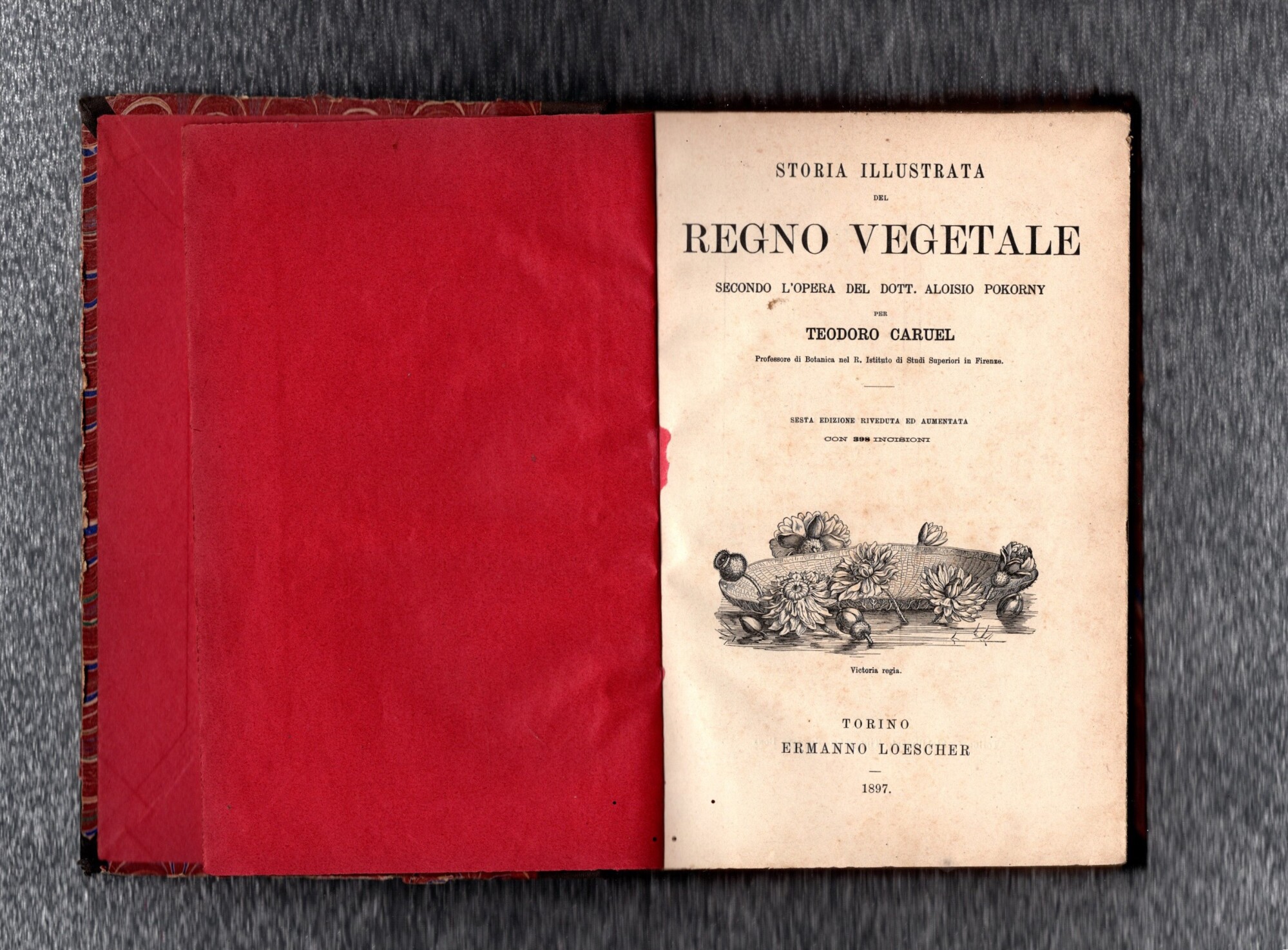 Storia Illustrata Del Regno Vegetale A Cura Di Teodoro Caruel …