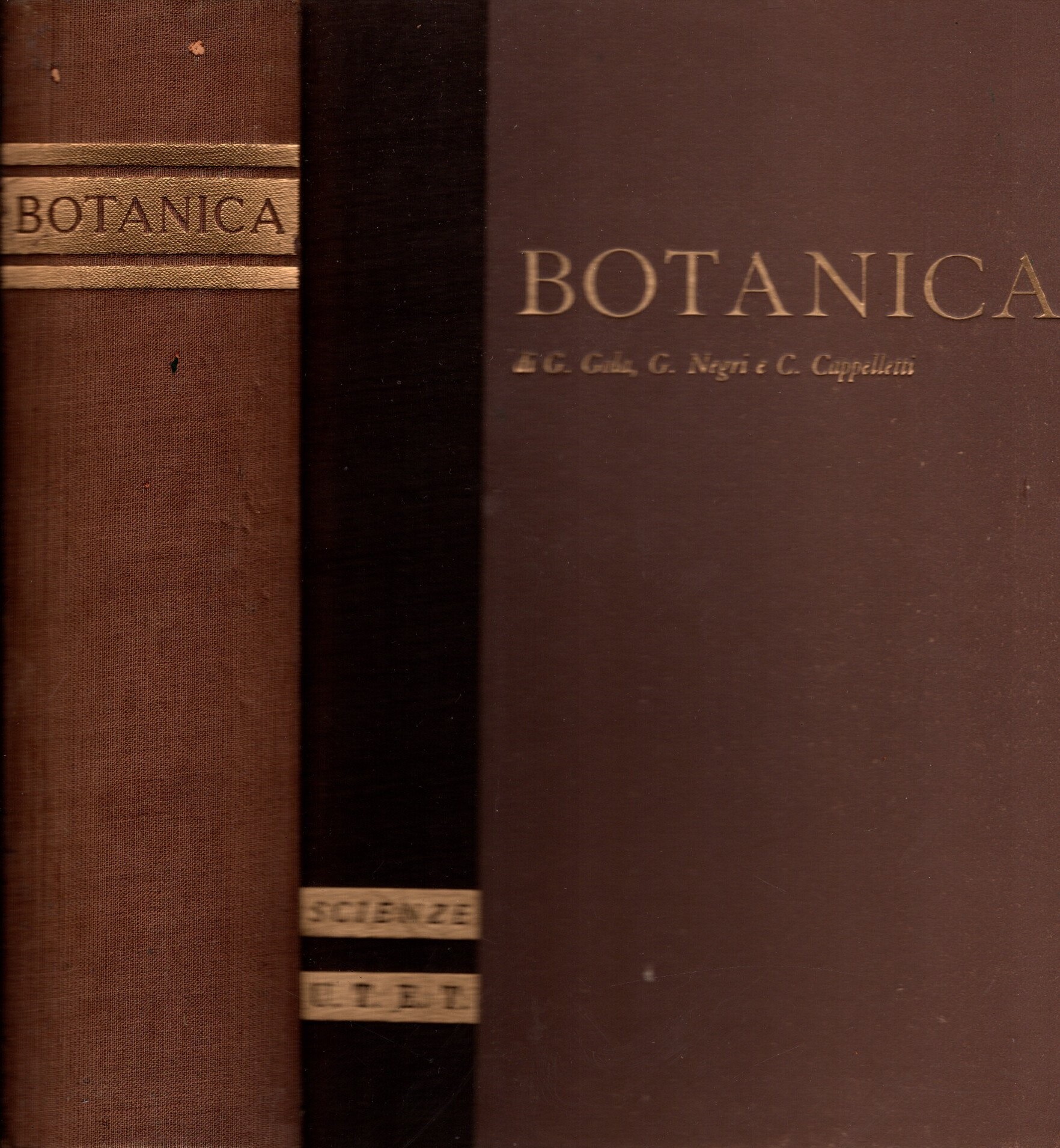 Trattato di botanica