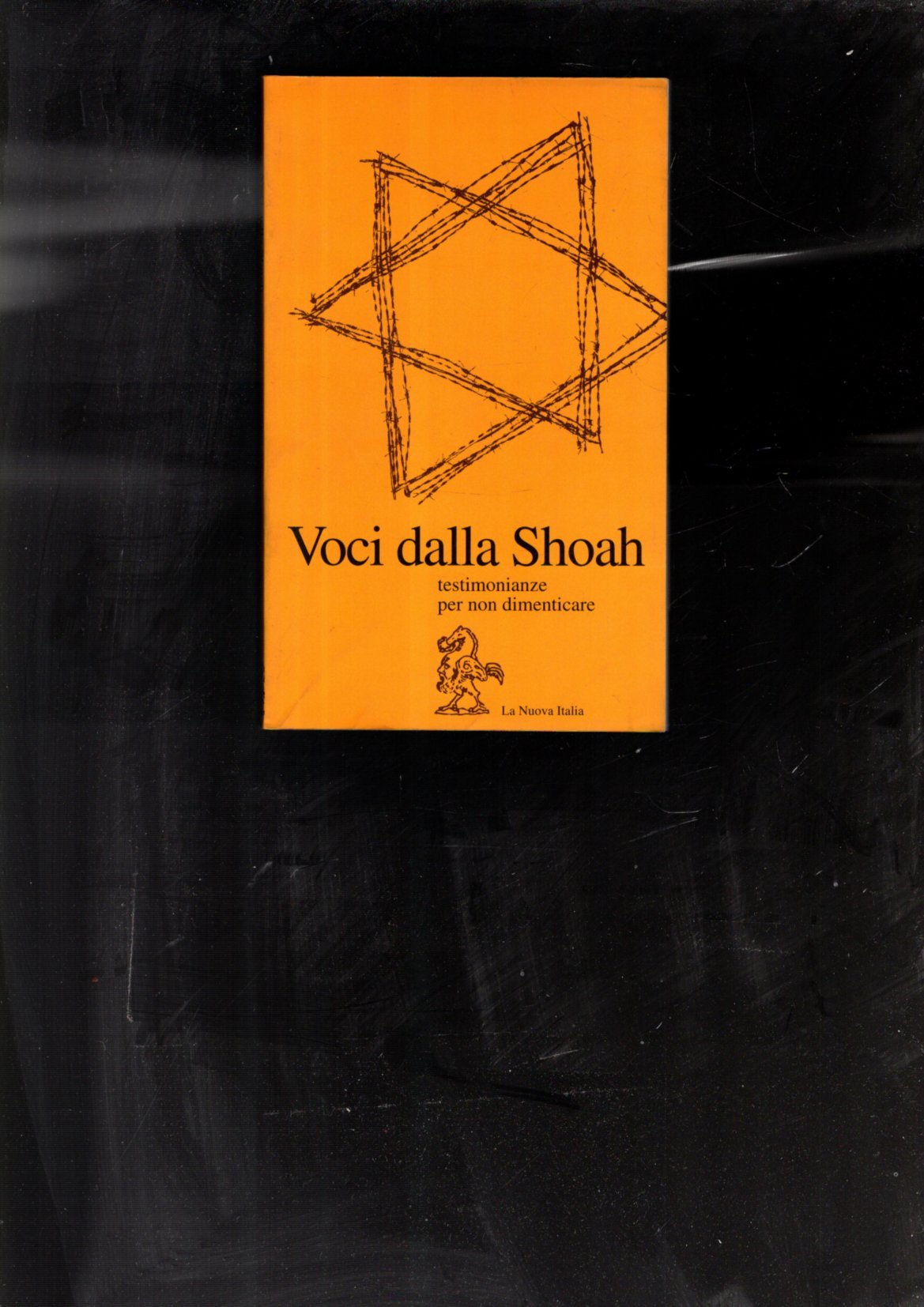 Voci dalla Shoah. Testimonianze per non dimenticare