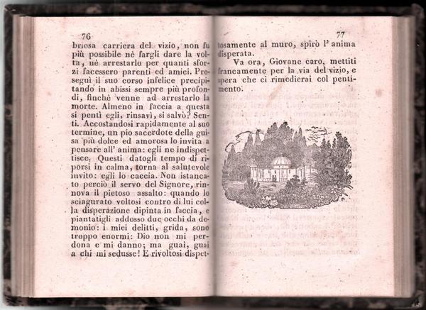I Compagni per Antonio Pellicani-Loreto Tip. Rossi 1857