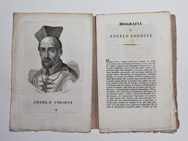 Biografia di Angelo Colocci biografie e ritratti dello Stato Pontificio …
