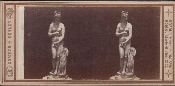 Foto stereoscopica Venere del Campidoglio Roma by Sommer& Bethel 1890 …