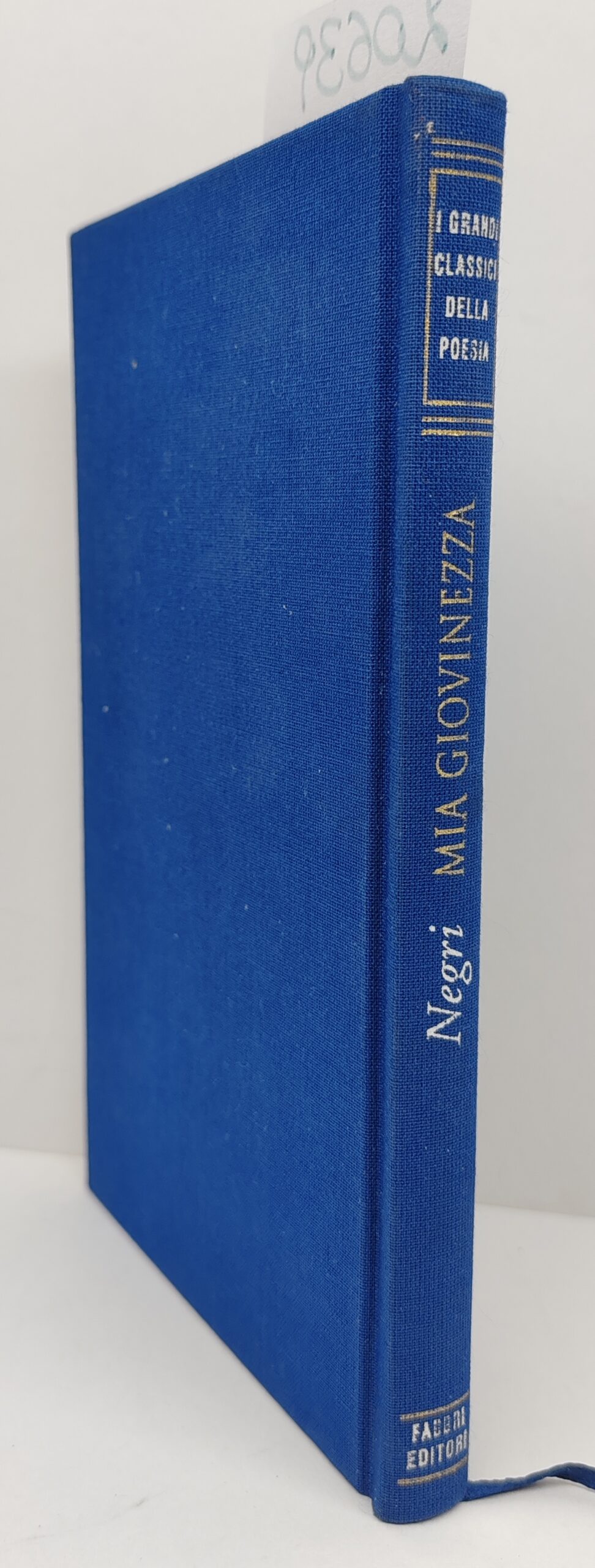 Ada Negri Mia giovinezza poesie Fabbri editore 1997 I grandi …