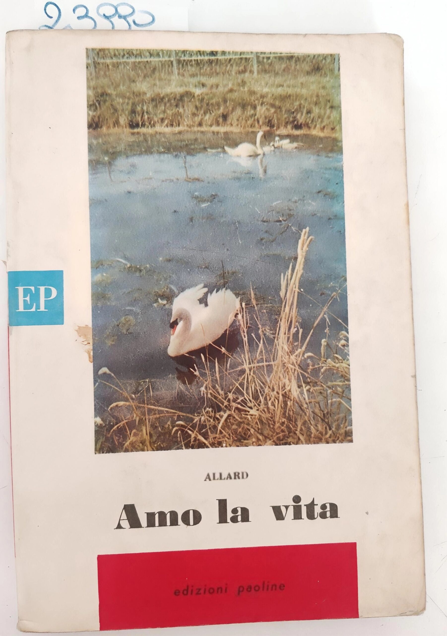 Allard, Amo la vita, Paoline 1962