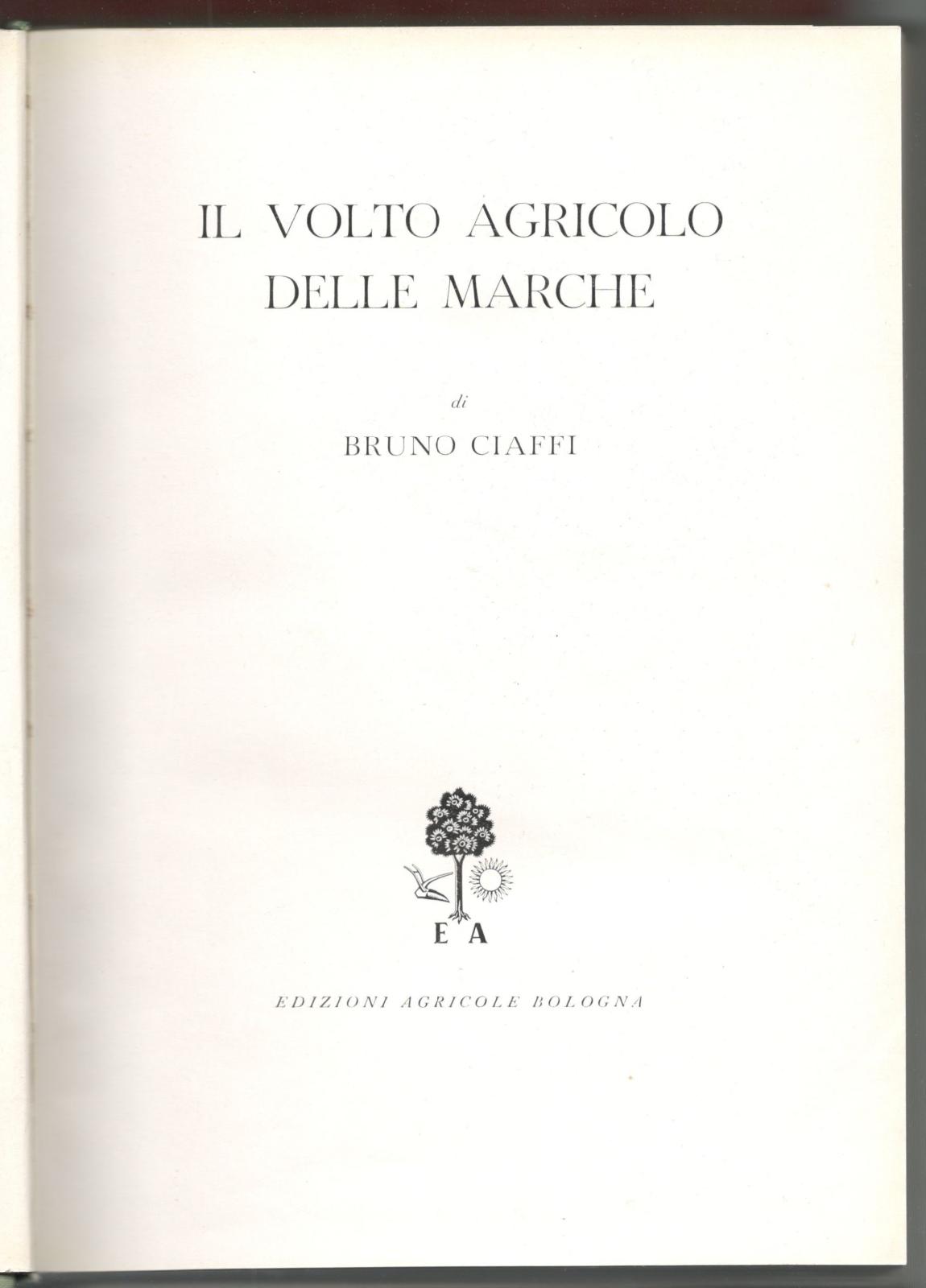 Bruno Ciaffi Il volto agricolo delle Marche 1953