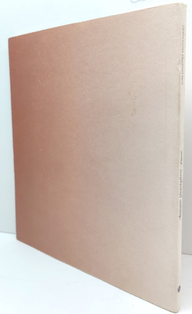 Calogero Rotondo Antonio Guastaferro pittore Palombi editore 2002