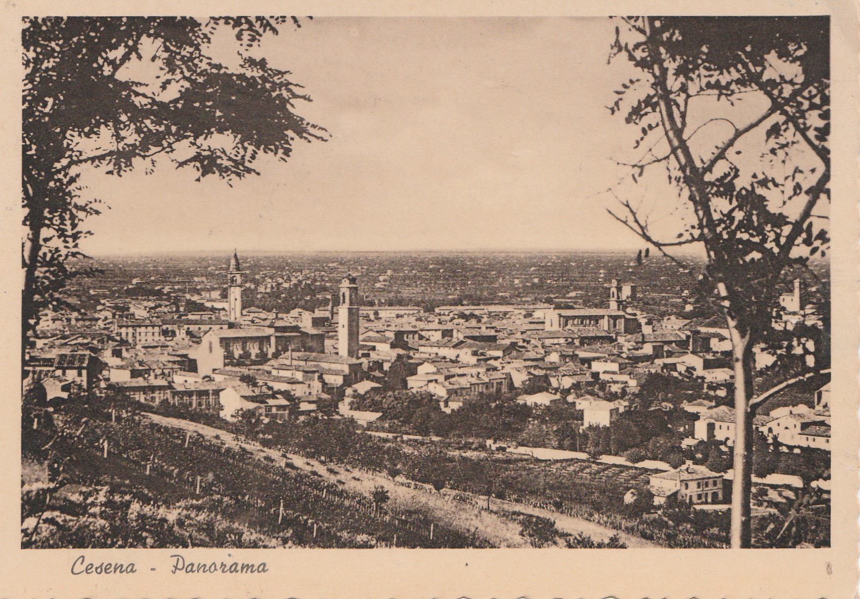 Cartolina Cesena Panorama Nvg
