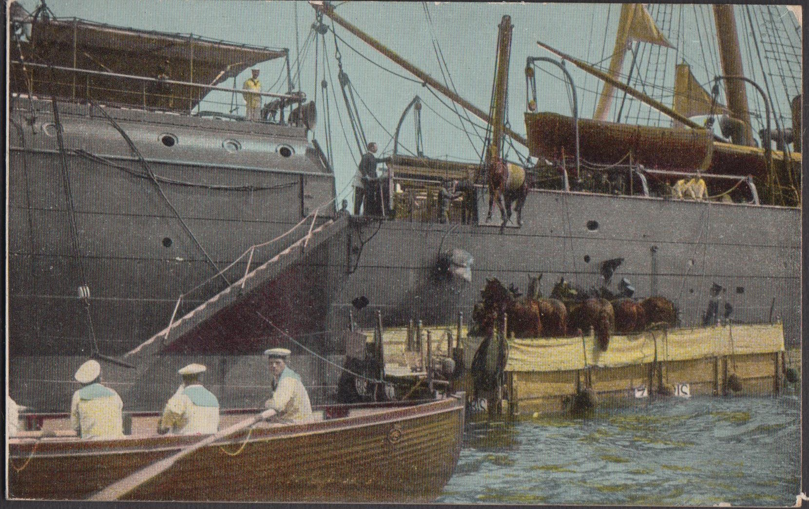 cartolina Grandi Manovre imbarco quadrupedi 1909 viaggiata
