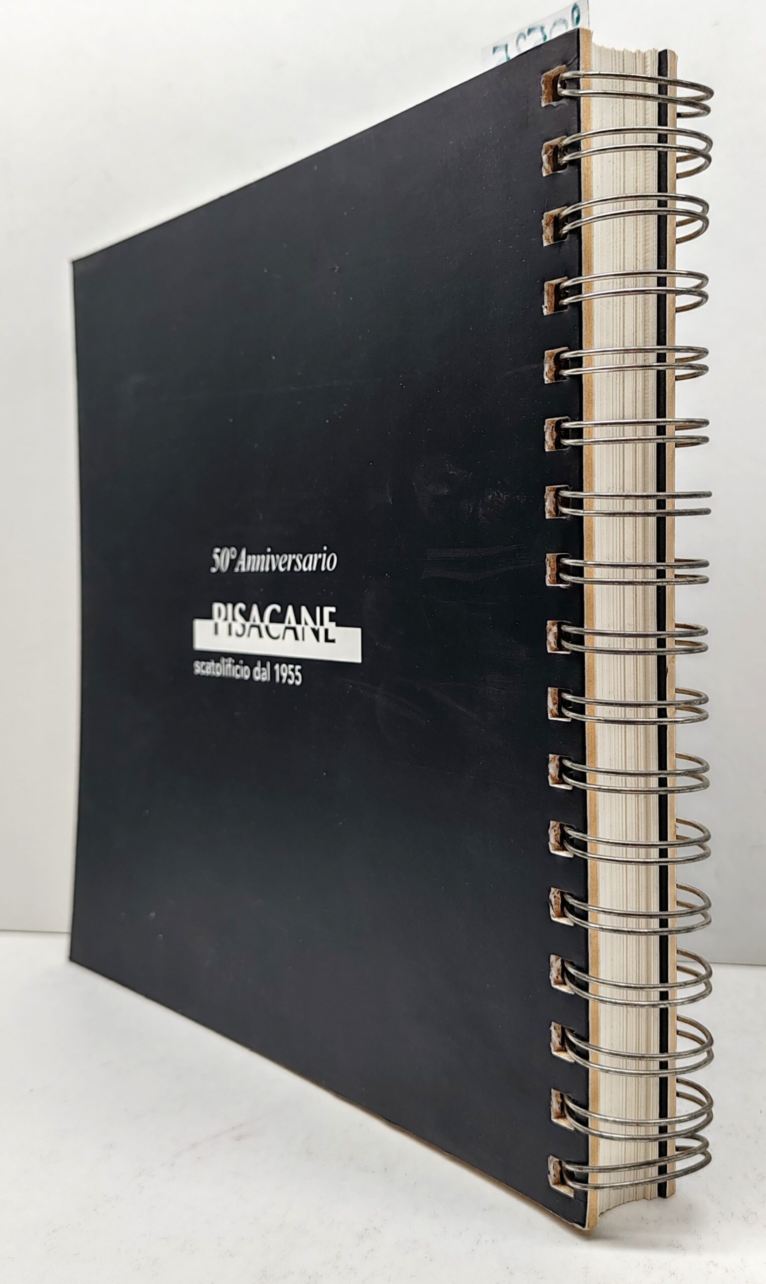 Contenuto e contenitore mostra collettiva d'arte Pollenza 2006