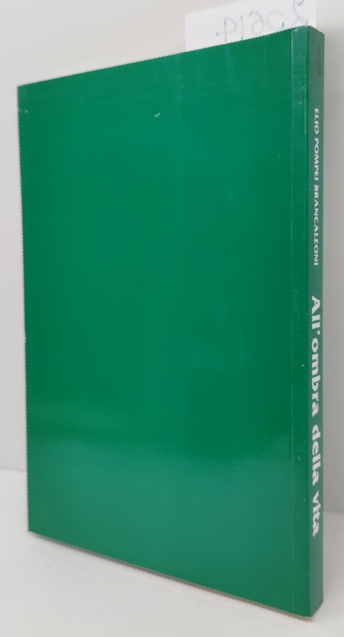 Elio Pompei Brancaleoni All'ombra della vita Tolentino 2004