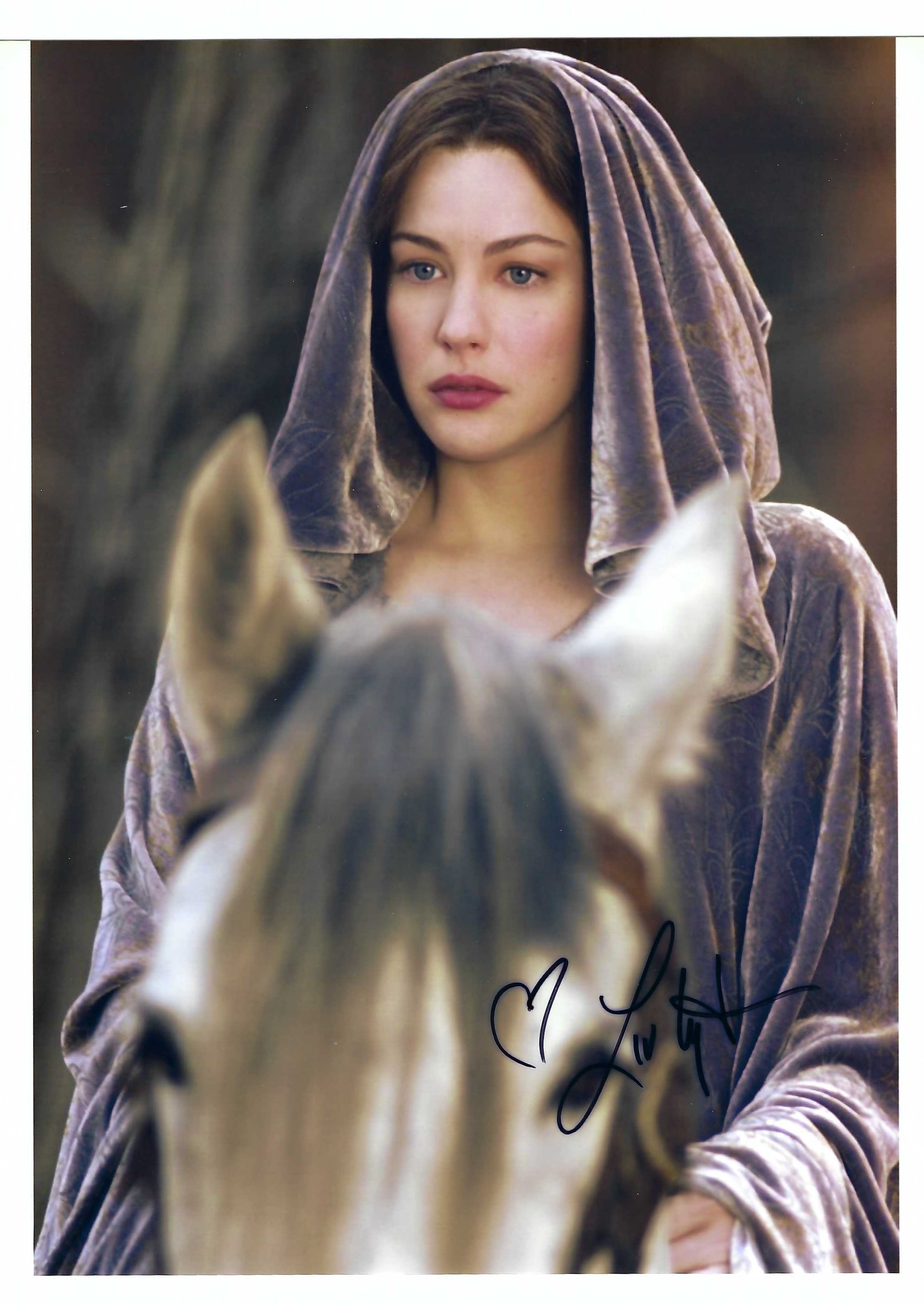 Foto autografata Liv Tyler photo autographed con certificato Signore degli …