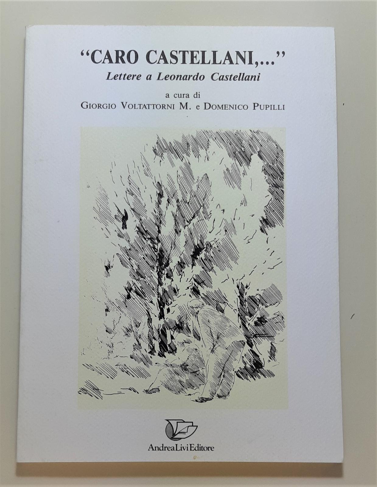 G. Voltattorni e D. Pupilli Caro Castellani lettere a Leonardo …