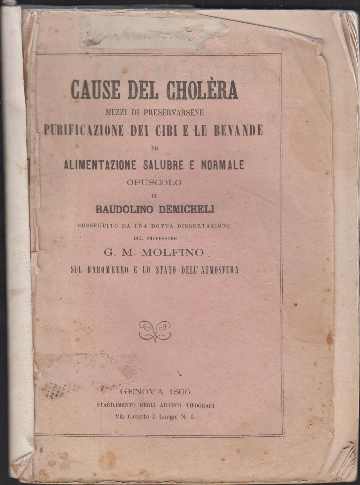 Colera B. Demicheli Cause del cholera purificazione di cibi e …