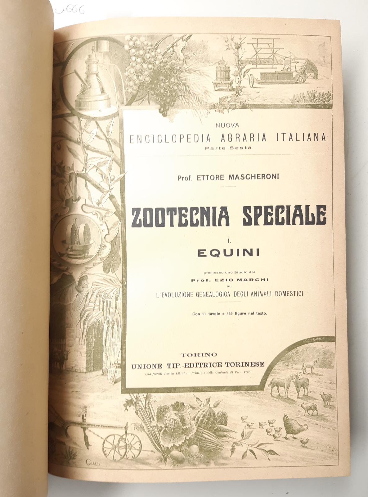 Nuova Enciclopedia Agraria Italiana E. Mascheroni Zootecnica speciale Equini UTET …