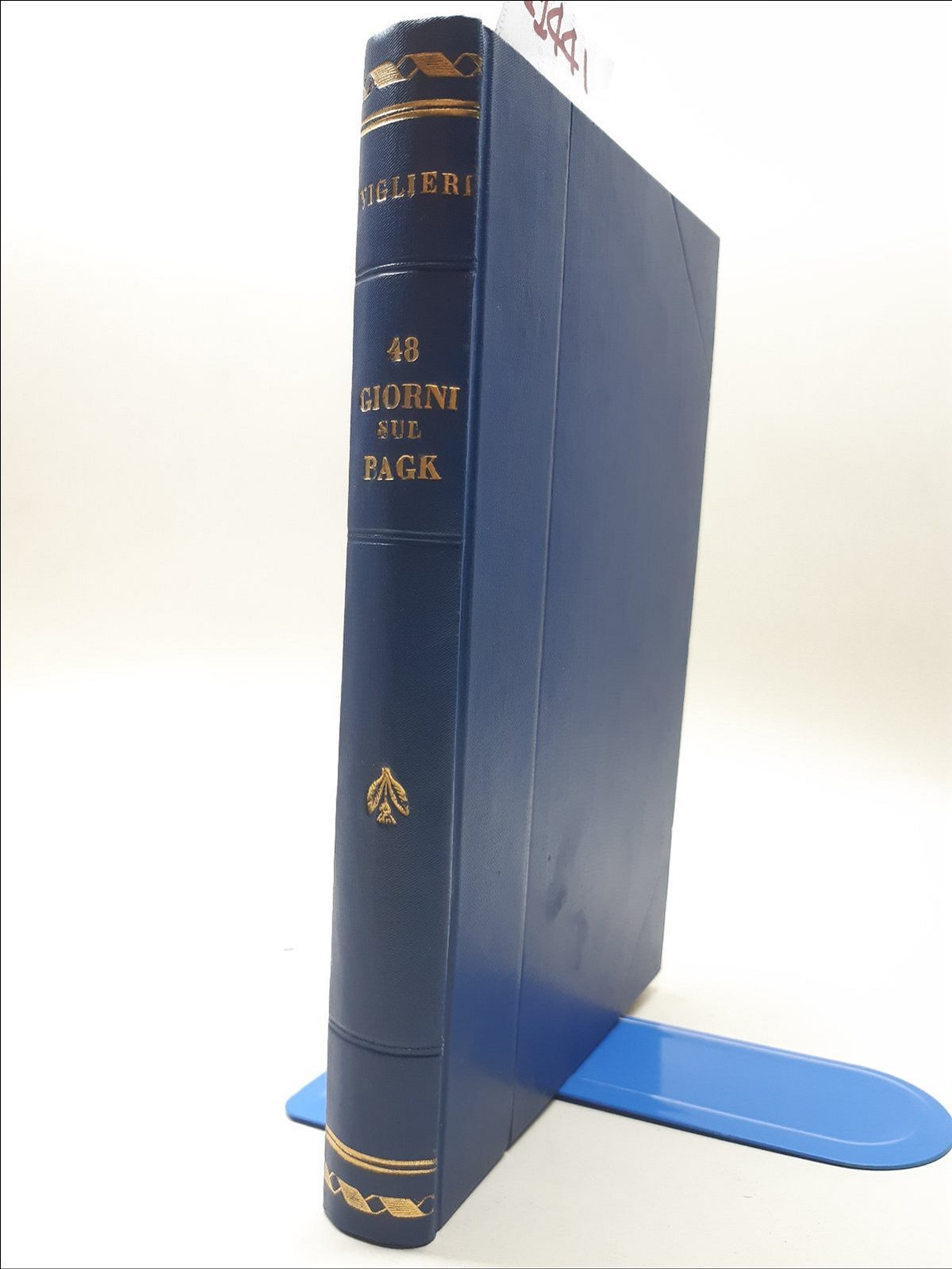 Alfredo Viglieri 48 giorni sul Pack Mondadori 1929