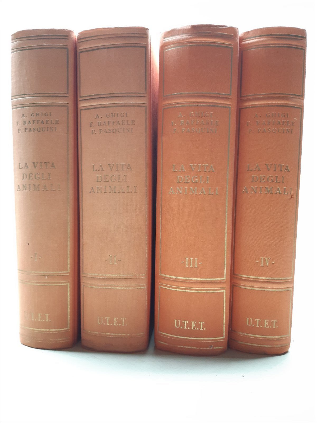 Pasquini Raffaele Chigi La vita degli animali UTET 1951 4 …