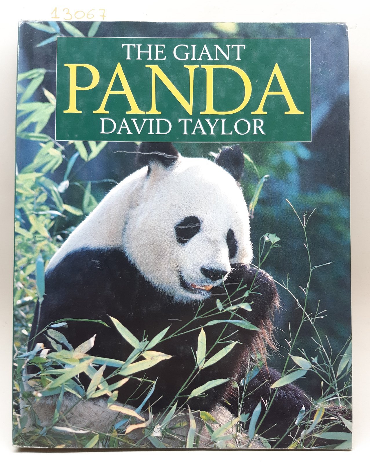 David Taylor The Giant Panda Boxtree 1990