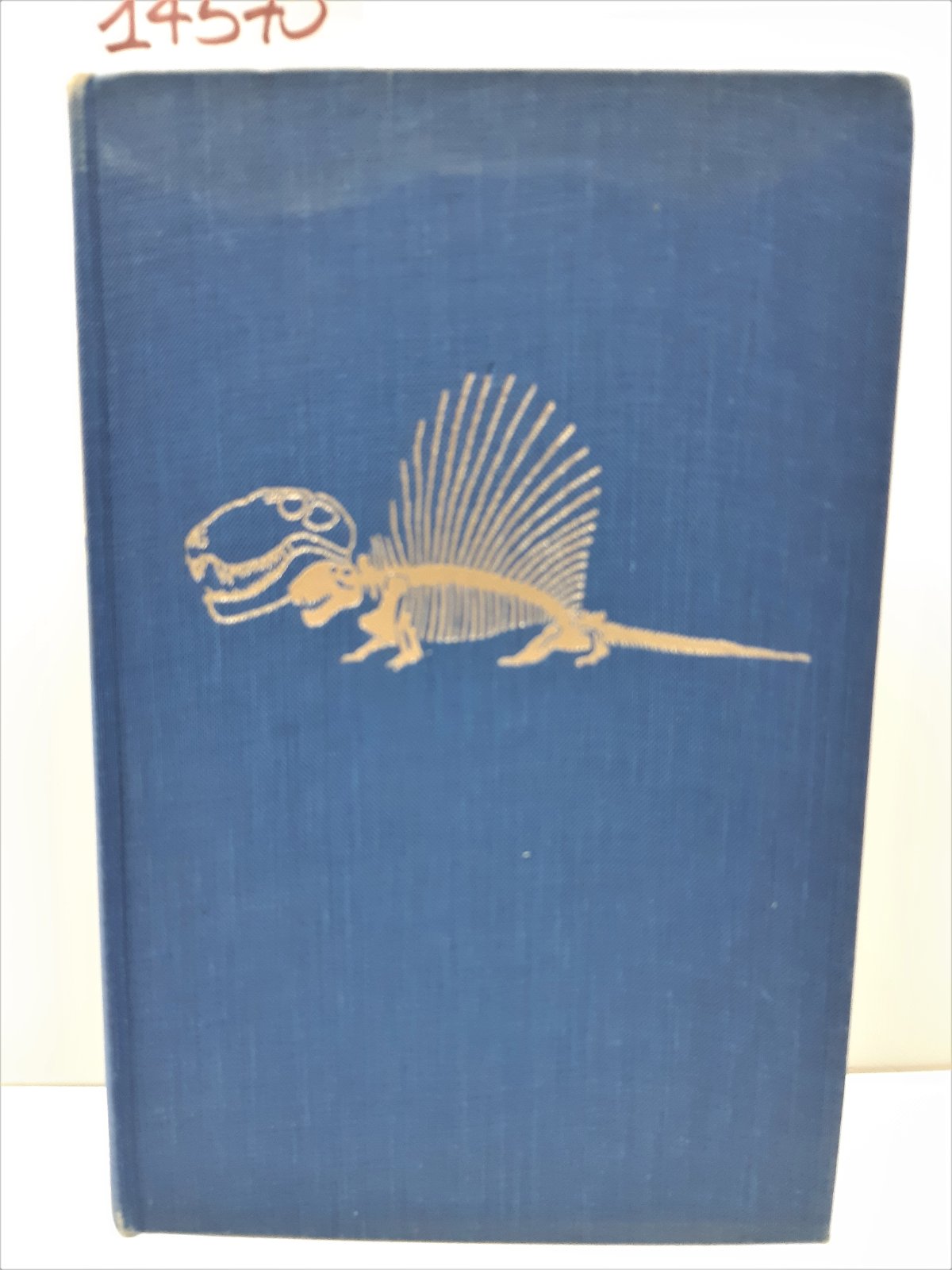 Route Moore Uomo tempo e fossili storia dell'evoluzione Garzanti 1954 …