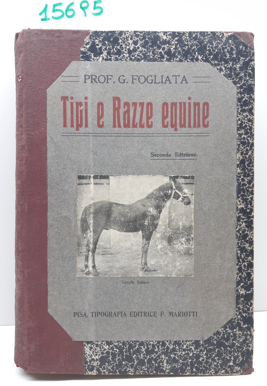 Giacinto Fogliata Tipi e razze equine in rapporto con la …