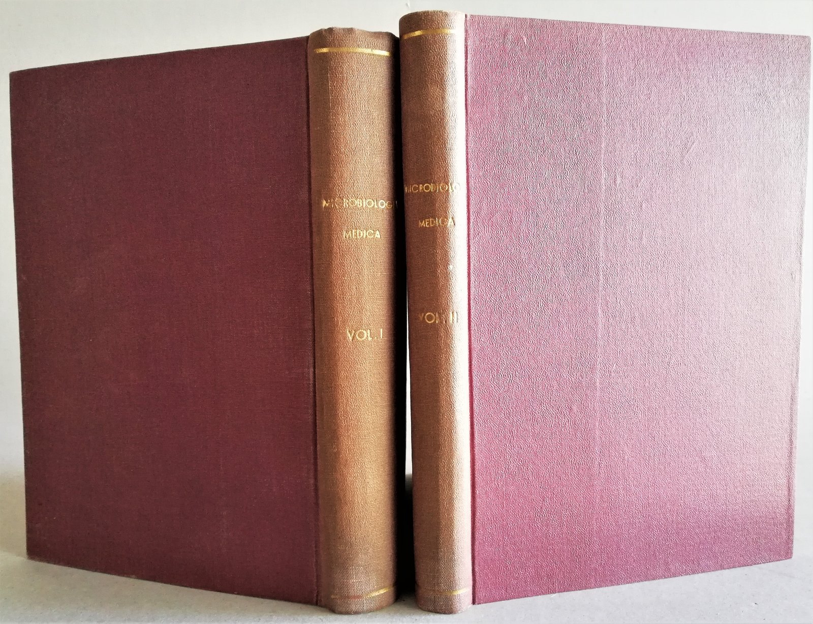 Vittorio Puntoni Manuale di microbiologia Medica 3∞ ed. 1943 Bucciarelli …